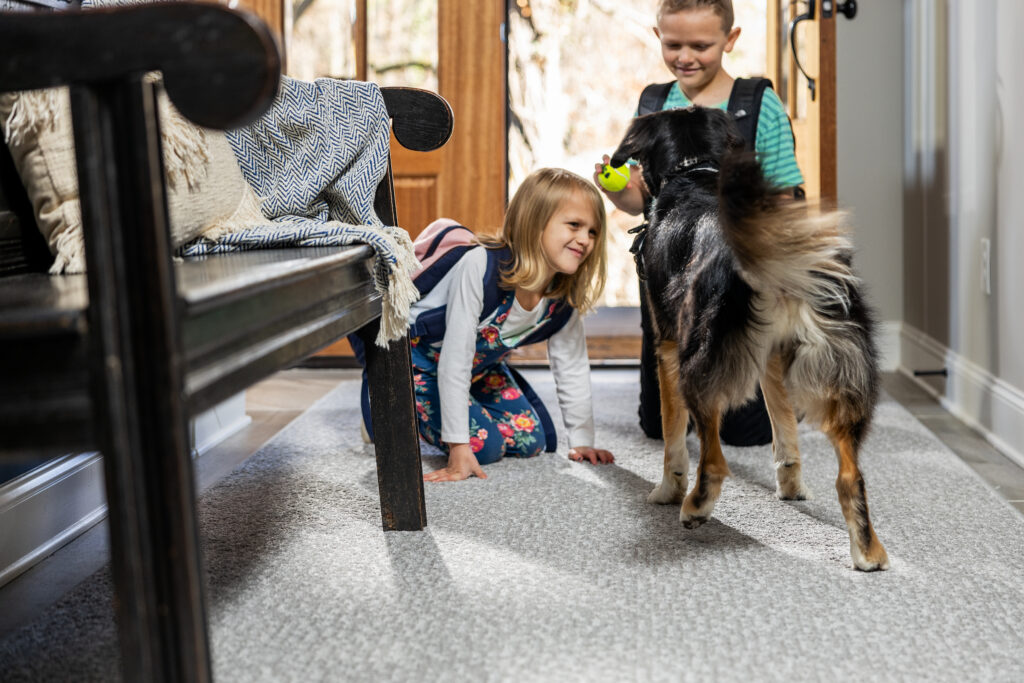 Custom Area Rugs National Carpet and Flooring